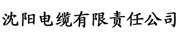 琪琪午夜电缆厂logo